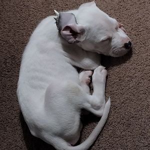 Meet your Posher, -aliee-